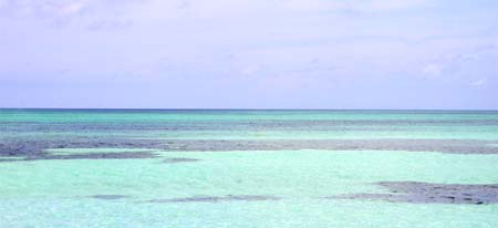 Bahamas Clear Water
